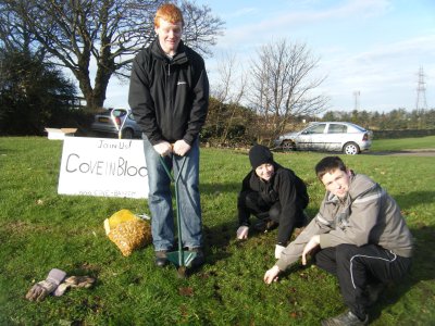 Bulb planting in Cove
